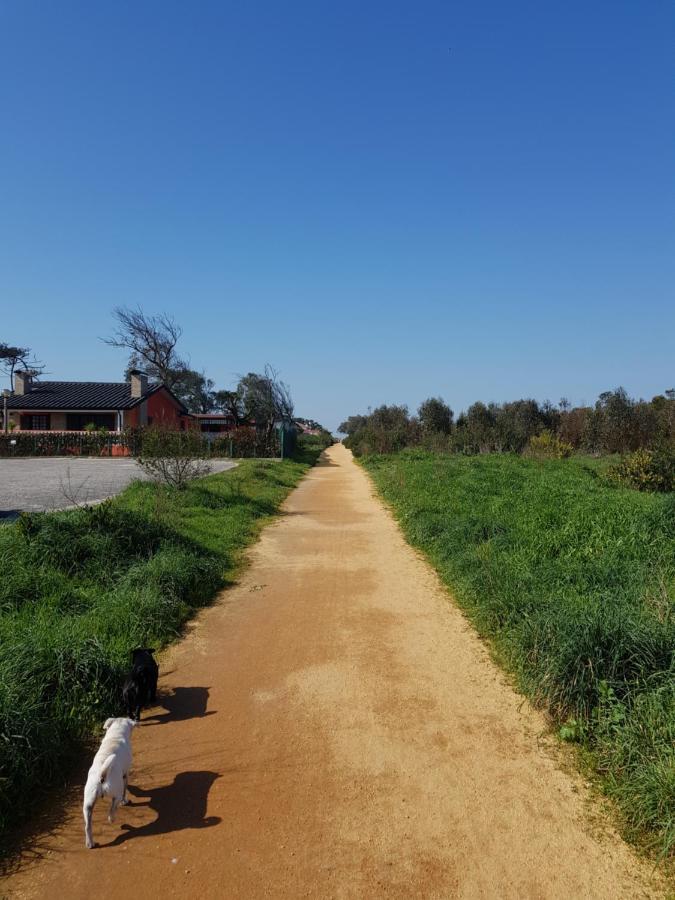 Beachwalk Guesthouse Esmoriz Zewnętrze zdjęcie