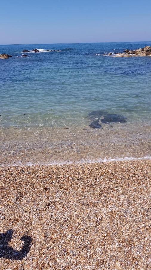 Beachwalk Guesthouse Esmoriz Zewnętrze zdjęcie