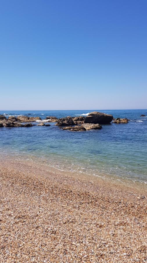 Beachwalk Guesthouse Esmoriz Zewnętrze zdjęcie